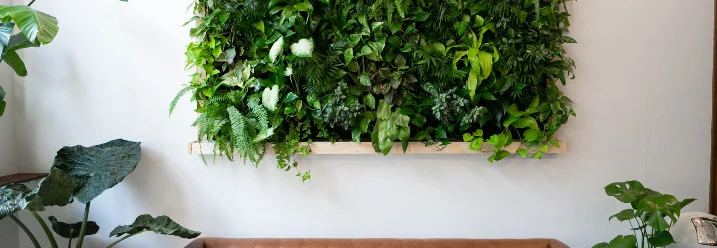 Vertikaler Garten an der Wand